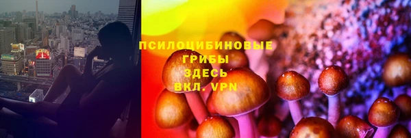 дмт Алексин