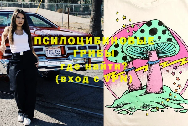 дмт Алексин