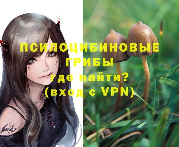 дмт Алексин