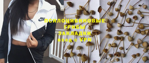 бутират Горно-Алтайск