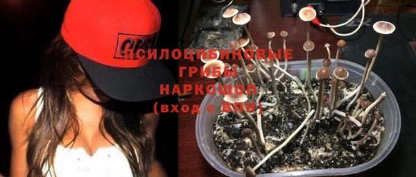 дмт Алексин