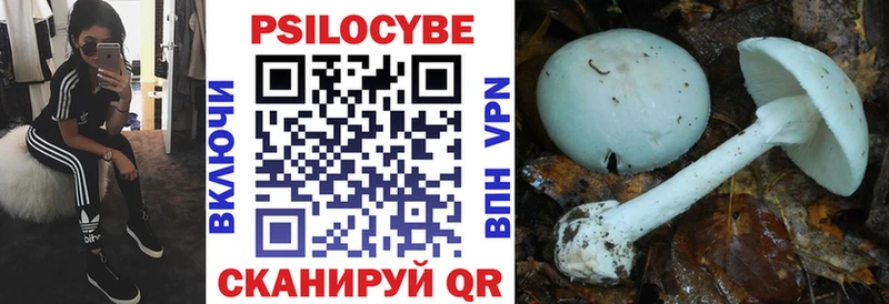 Псилоцибиновые грибы MAGIC MUSHROOMS  Агрыз 