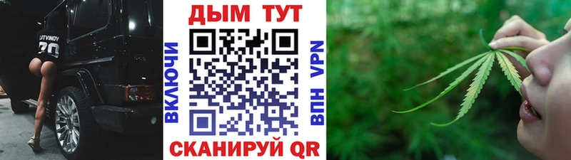 Бошки Шишки план Агрыз
